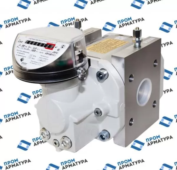 Счетчик газа ротационный RVG