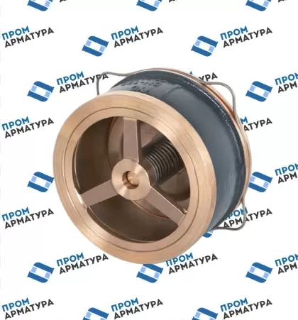 Клапан обратный пружинный межфланцевый VYC170-01 Ду100 Ру16