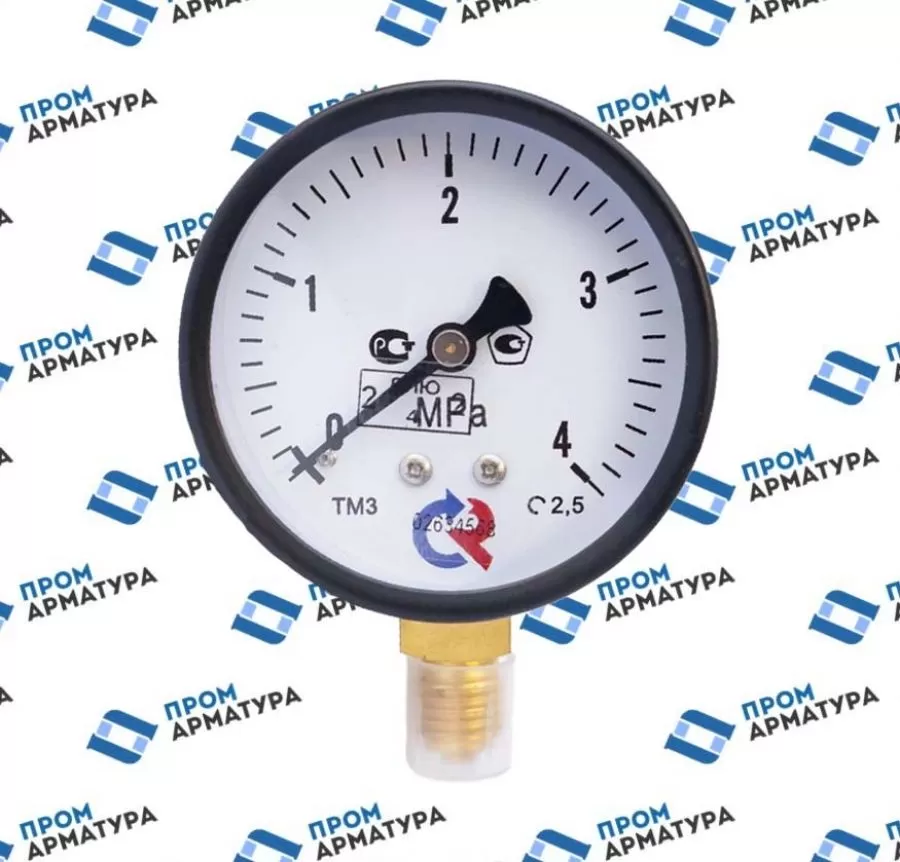 Манометр ТМ-310Р 1.0; 1.6; 2.5; 4.0 МПа